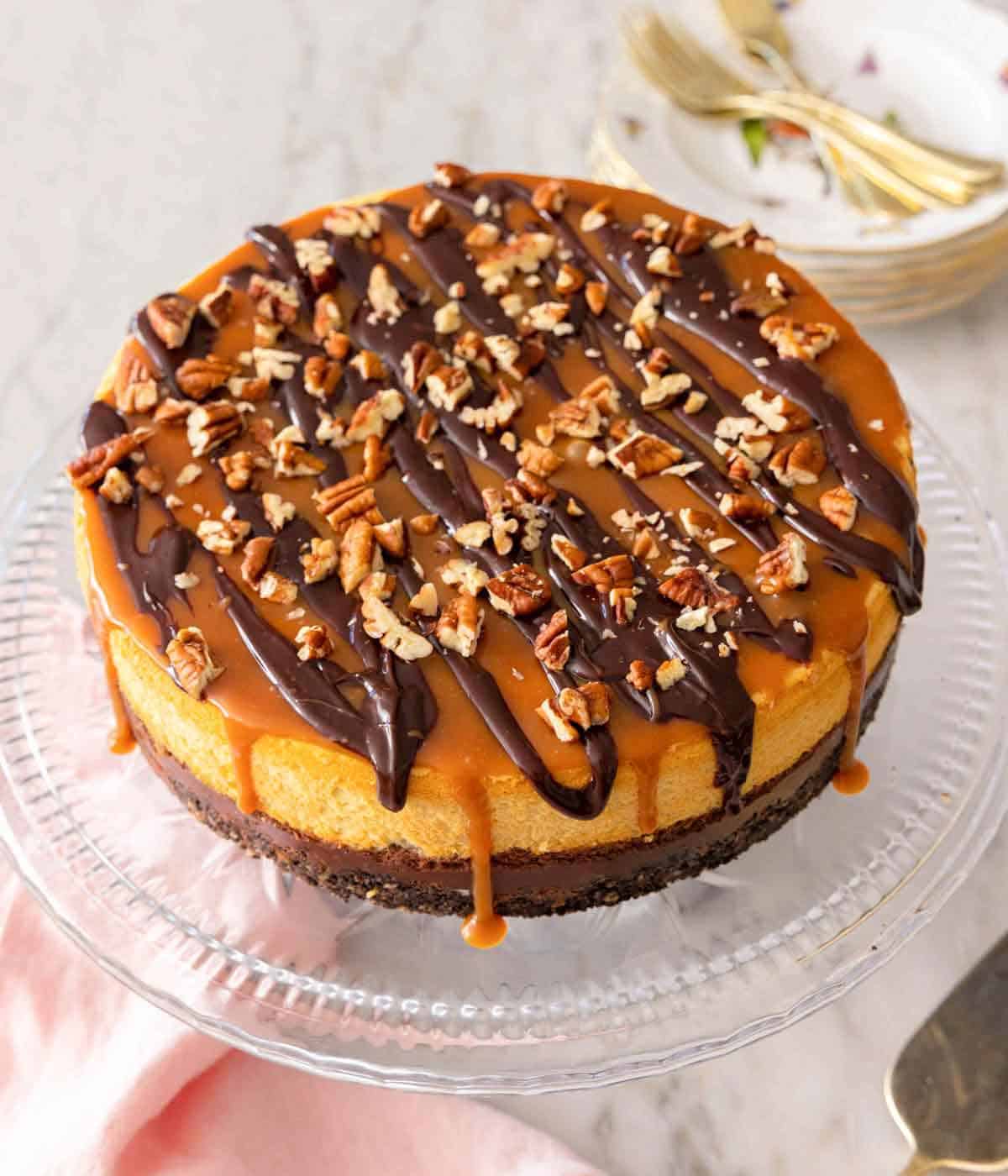 Turtle Cheesecake